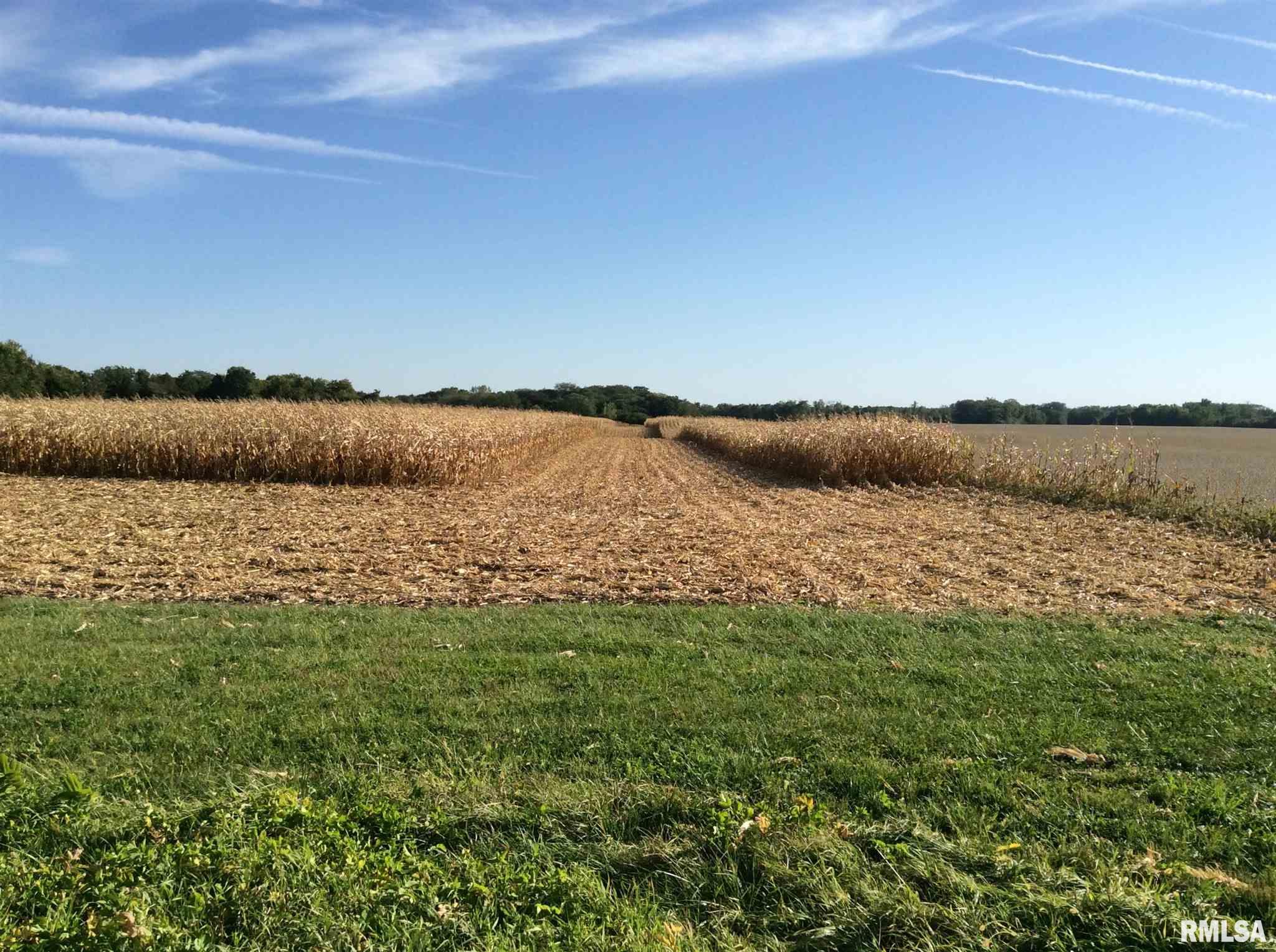 2500 North Road Road Rio, IL 61472 - Photo 1 of 6 Gallery Image 1