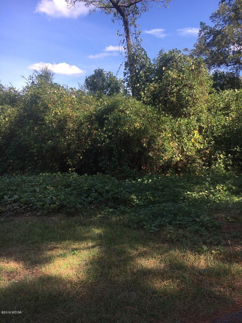3001-3005 Hester Road Macon, GA 31217 - Photo 2 of 2 3001-3005 Hester Road