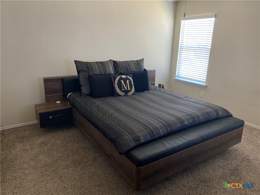 2356 Pintail Loop Copperas Cove, TX 76522 - Photo 9 of 21