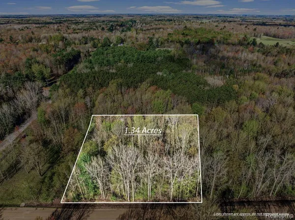 $22,000 | Aaa V/l Maplegrove Lane, Vassar, MI 48768
