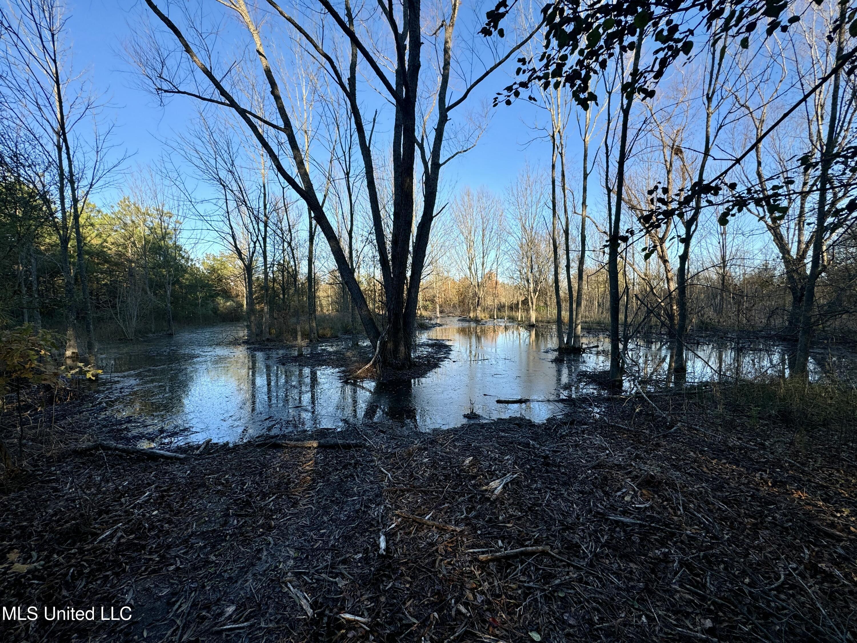Quitman Street Sledge, MS 38670 - Photo 1 of 13 tempImagef3FH6A