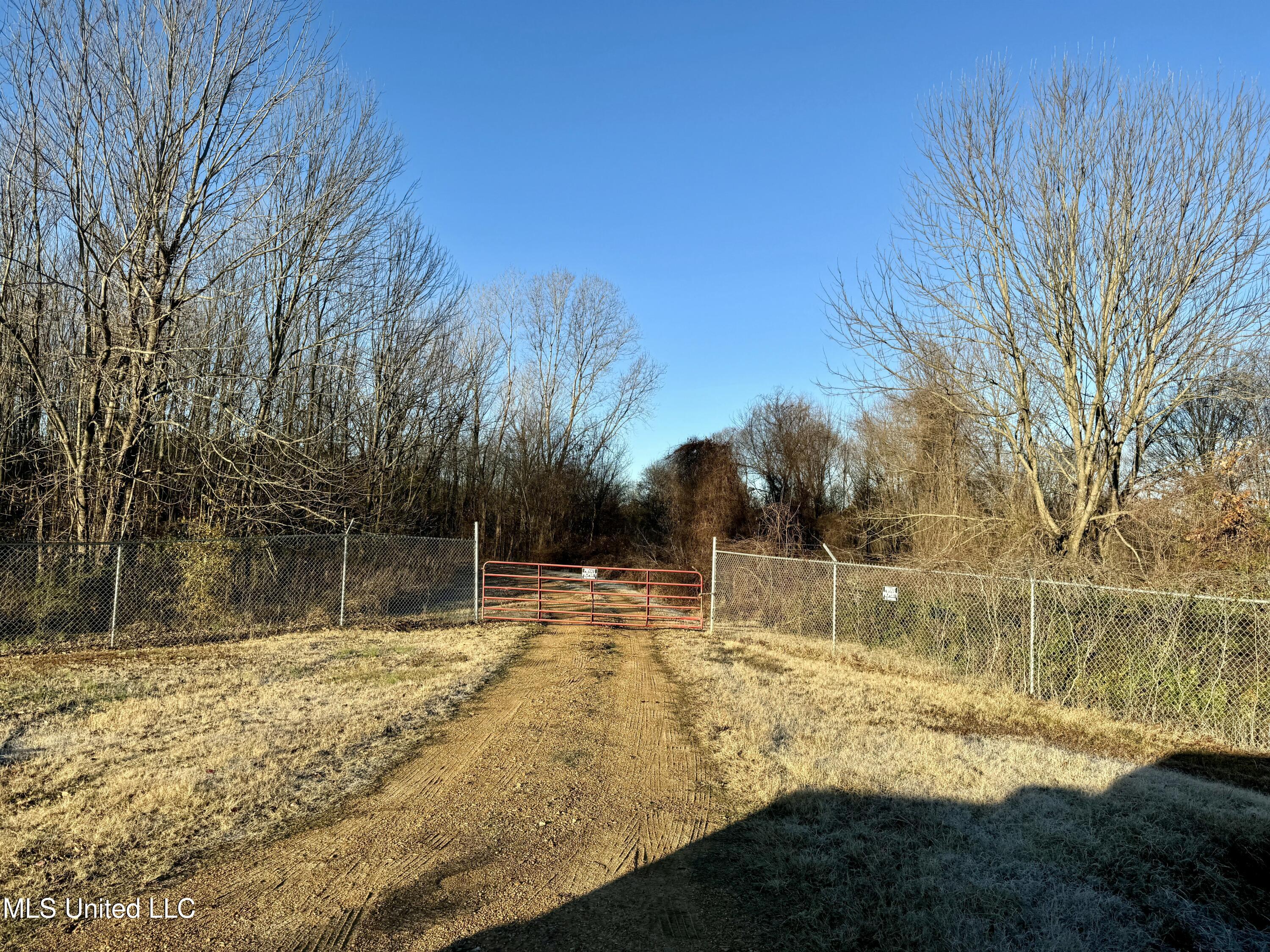 Quitman Street Sledge, MS 38670 - Photo 3 of 13 tempImagebi90Bv