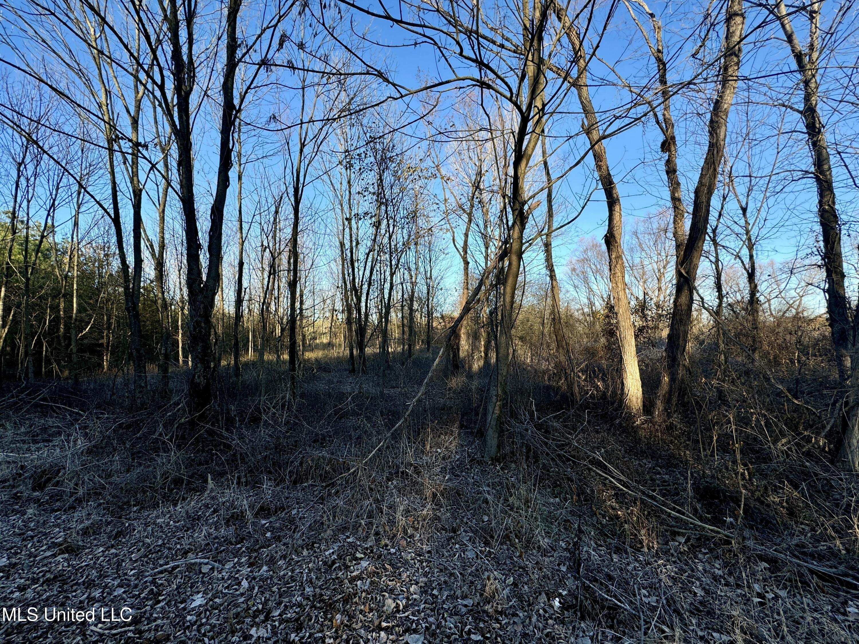 Quitman Street Sledge, MS 38670 - Photo 4 of 13 tempImageyhNVoP