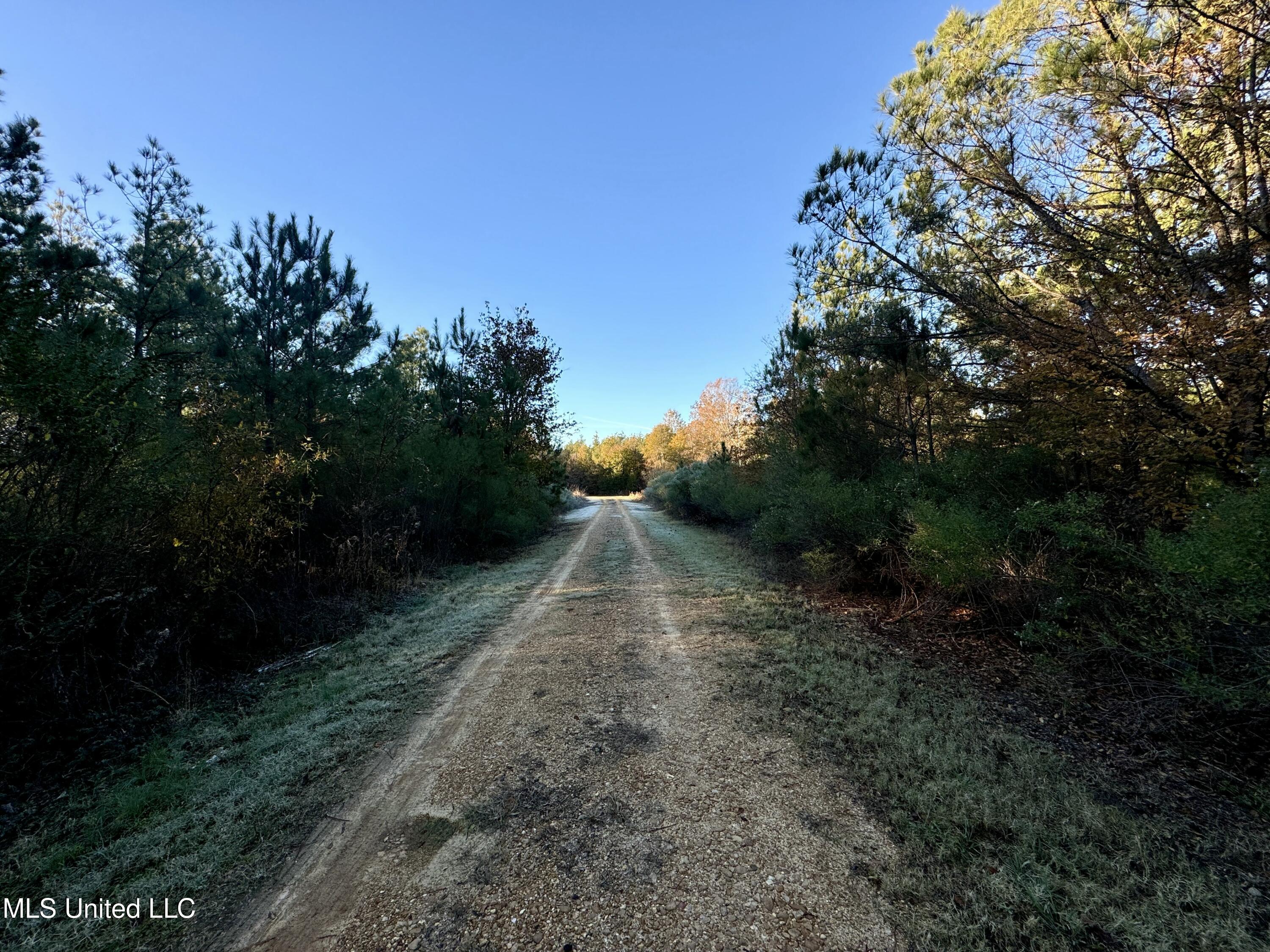 Quitman Street Sledge, MS 38670 - Photo 6 of 13 tempImageI5m66P