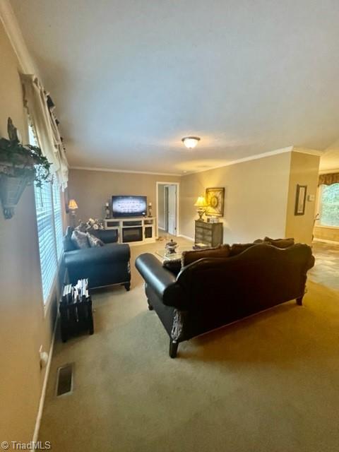 625 Strawberry Road Reidsville, NC 27320 - Photo 4 of 19 Gallery Image 4