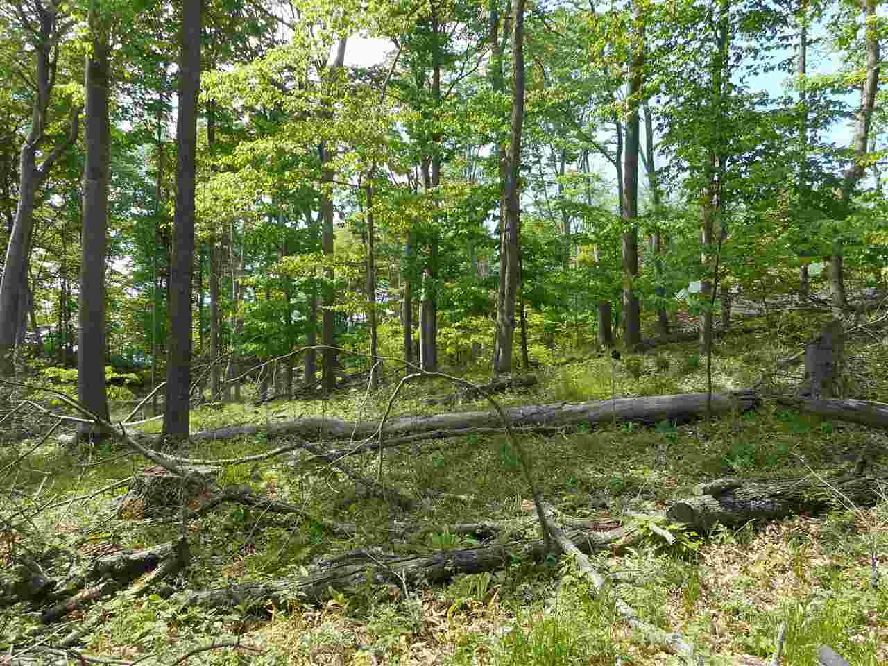 Maxey Road Arcadia, MI 49613 - Photo 6 of 9
