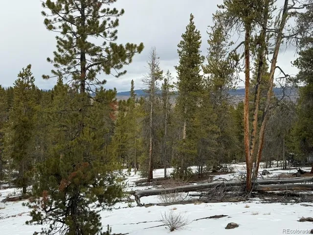 $90,000 | 124 Lodge Pole, Twin Lakes, CO 80461