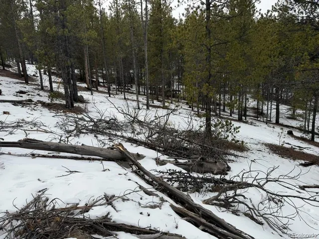 $90,000 | 124 Lodge Pole, Twin Lakes, CO 80461