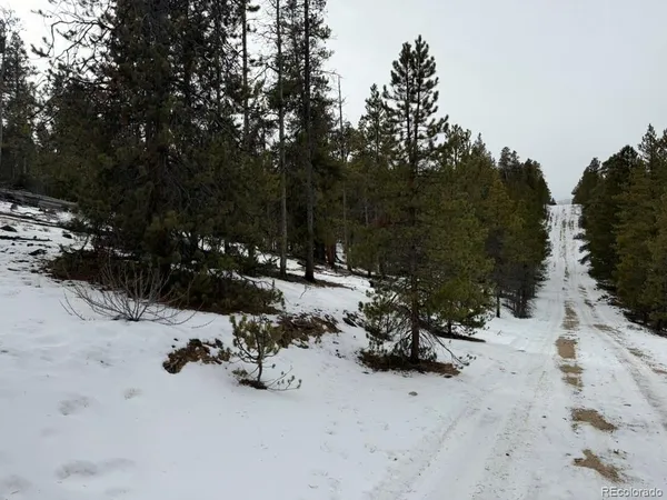 a street view covered with snow