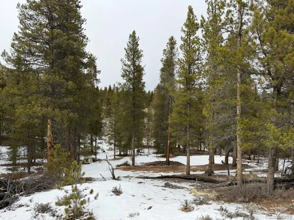 a view of outdoor space with trees