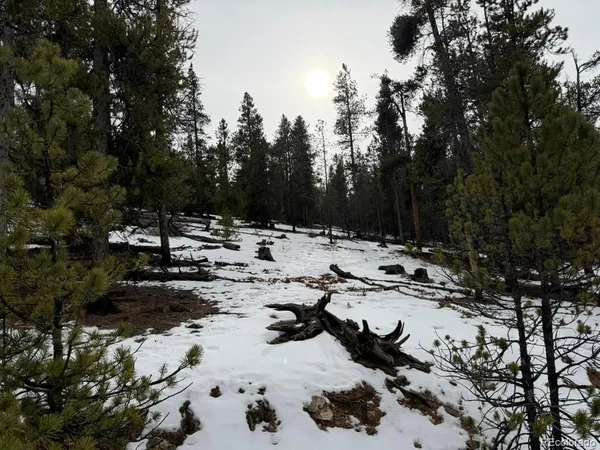 a view of snow on the side of road