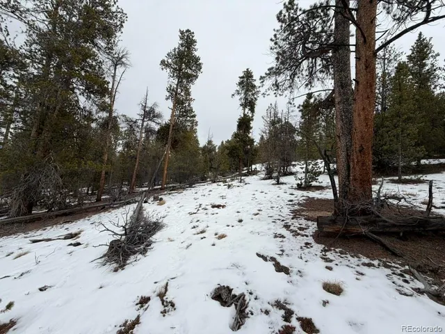 $90,000 | 124 Lodge Pole, Twin Lakes, CO 80461