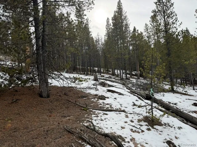 $90,000 | 124 Lodge Pole, Twin Lakes, CO 80461