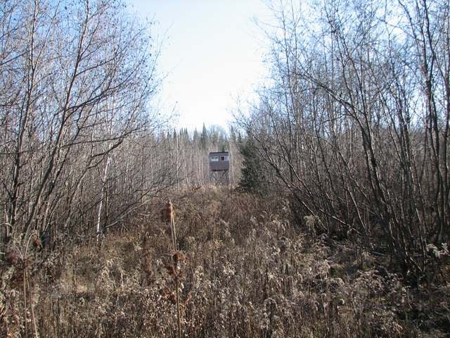 Off Off Vension Drive Prentice, WI 54556 - Photo 13 of 16 Gallery Image 13
