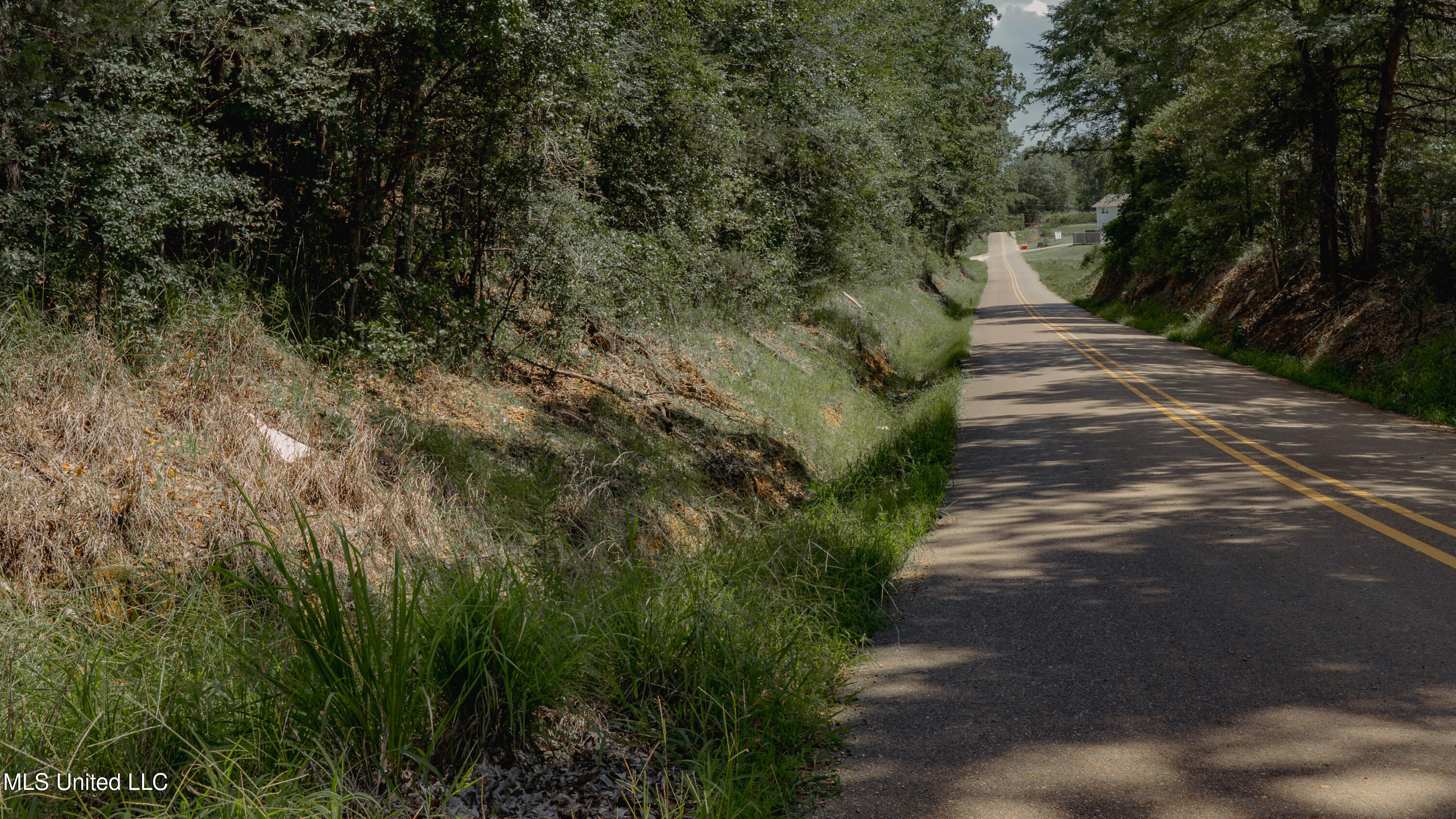 Dog Pen Road Durant, MS 39063 - Photo 13 of 50 70% Compressed-22