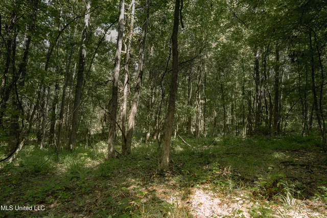 $80,000 | Dog Pen Road, Durant, MS 39063