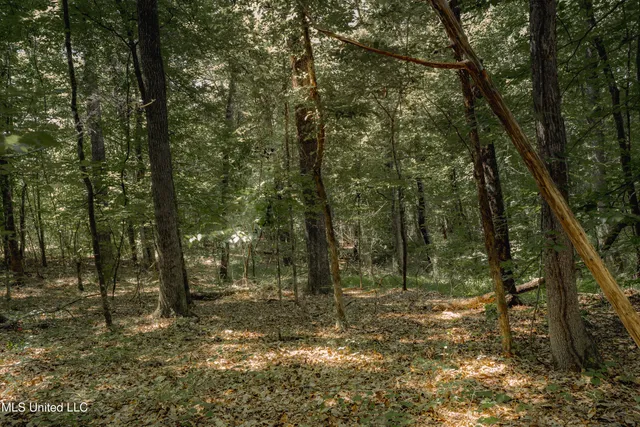 $80,000 | Dog Pen Road, Durant, MS 39063