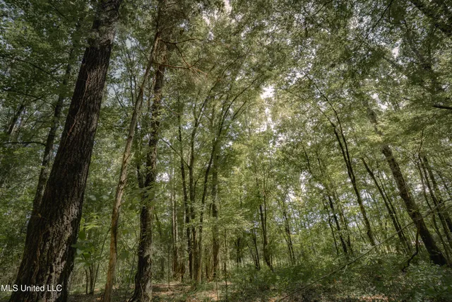 $80,000 | Dog Pen Road, Durant, MS 39063