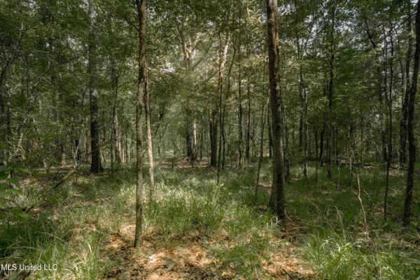 $70,000 | Dog Pen Road, Durant, MS 39063