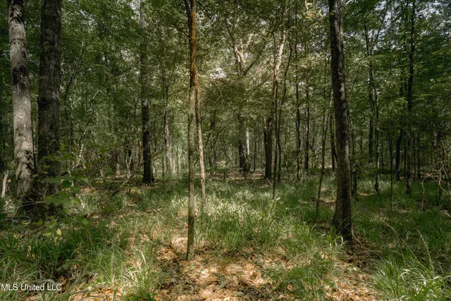 $80,000 | Dog Pen Road, Durant, MS 39063