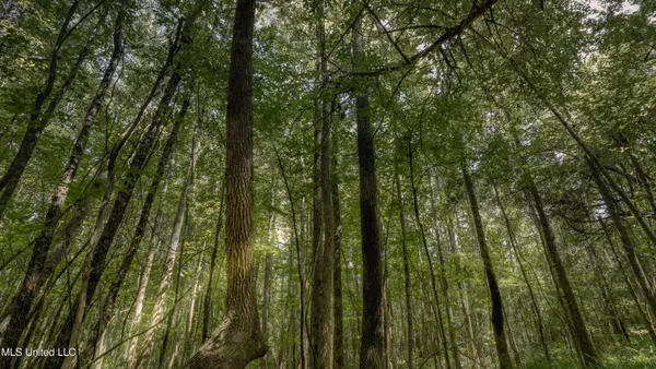 $70,000 | Dog Pen Road, Durant, MS 39063