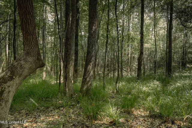 $80,000 | Dog Pen Road, Durant, MS 39063