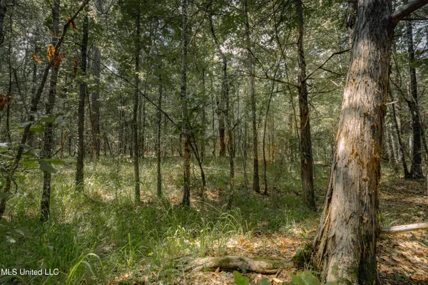 $70,000 | Dog Pen Road, Durant, MS 39063