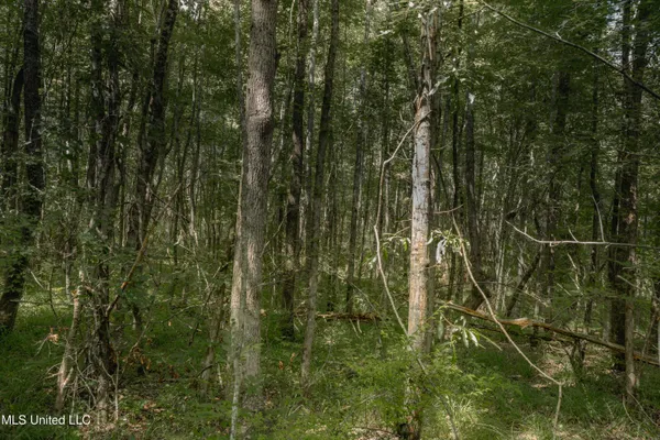 $70,000 | Dog Pen Road, Durant, MS 39063