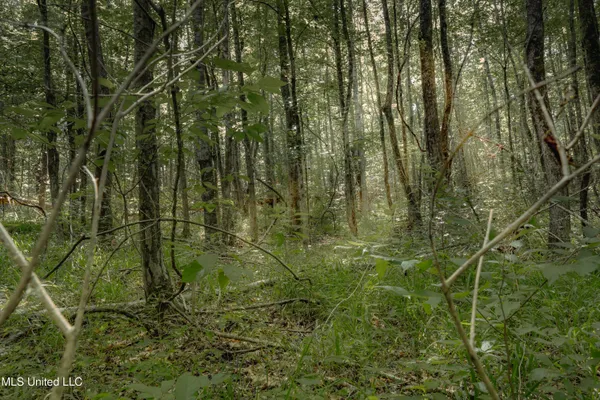 $70,000 | Dog Pen Road, Durant, MS 39063