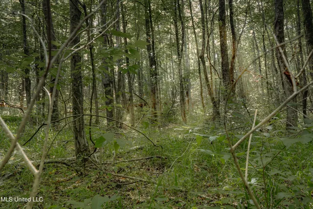 $80,000 | Dog Pen Road, Durant, MS 39063