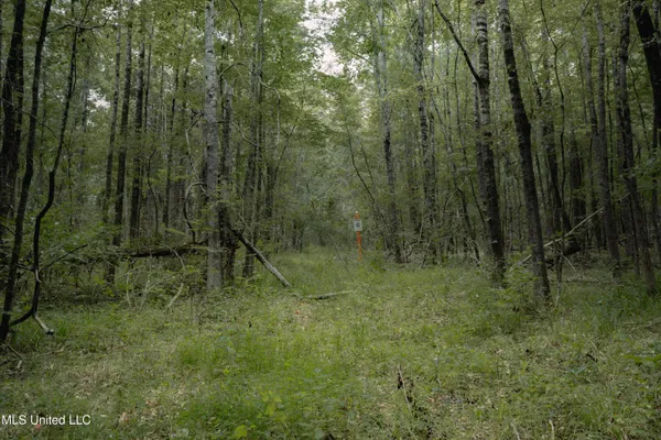 $70,000 | Dog Pen Road, Durant, MS 39063