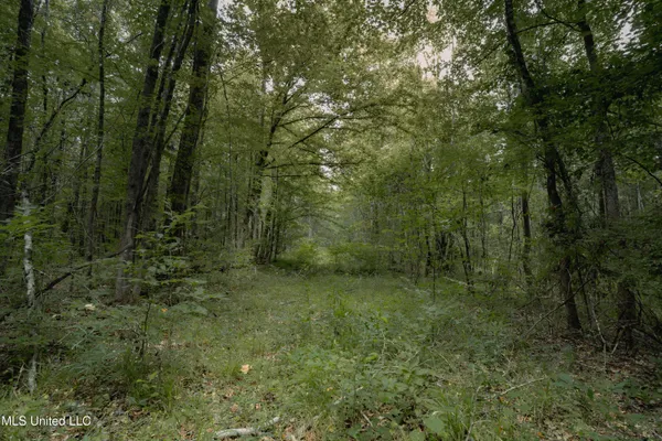 $70,000 | Dog Pen Road, Durant, MS 39063