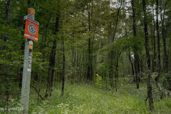 $70,000 | Dog Pen Road, Durant, MS 39063