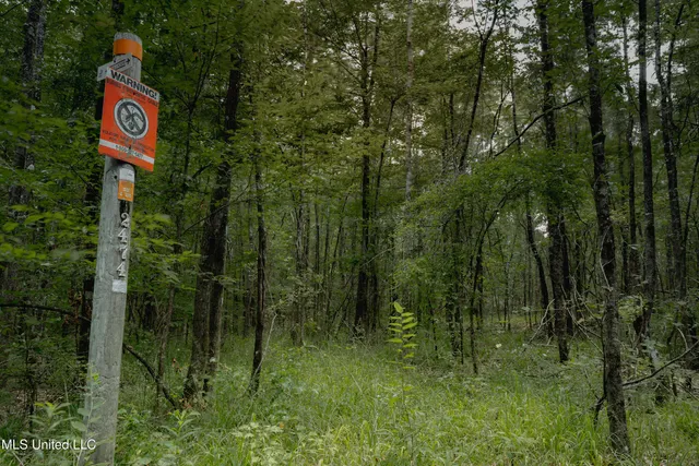 $80,000 | Dog Pen Road, Durant, MS 39063