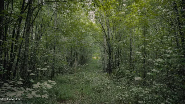 $70,000 | Dog Pen Road, Durant, MS 39063