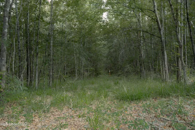 $80,000 | Dog Pen Road, Durant, MS 39063