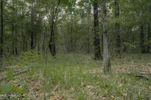 $70,000 | Dog Pen Road, Durant, MS 39063