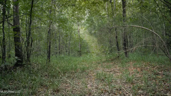 $70,000 | Dog Pen Road, Durant, MS 39063