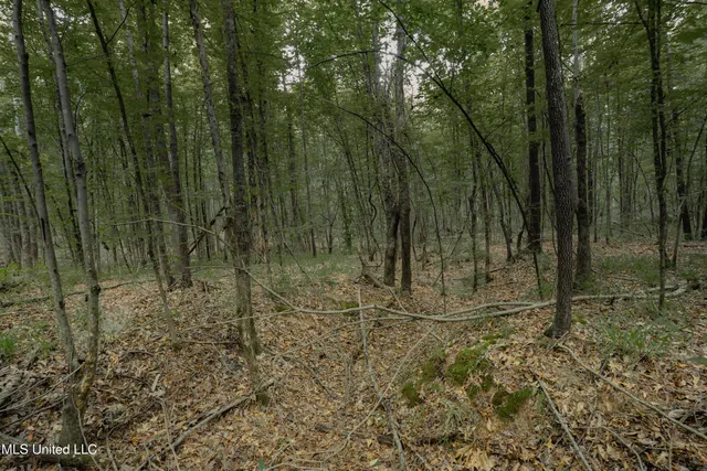 $80,000 | Dog Pen Road, Durant, MS 39063