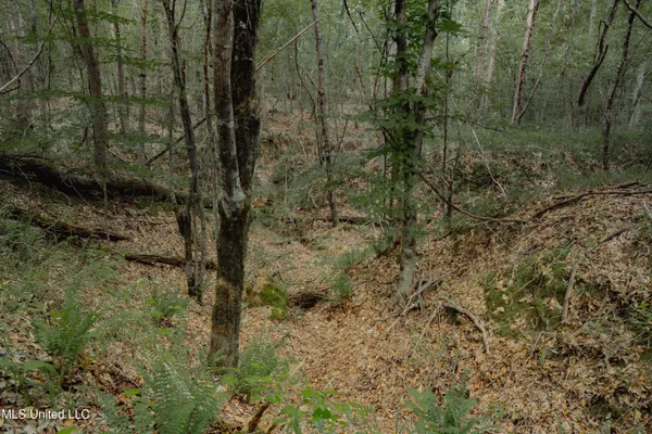 $70,000 | Dog Pen Road, Durant, MS 39063