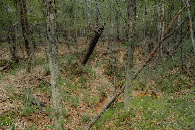 $80,000 | Dog Pen Road, Durant, MS 39063