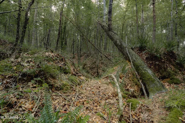 $80,000 | Dog Pen Road, Durant, MS 39063