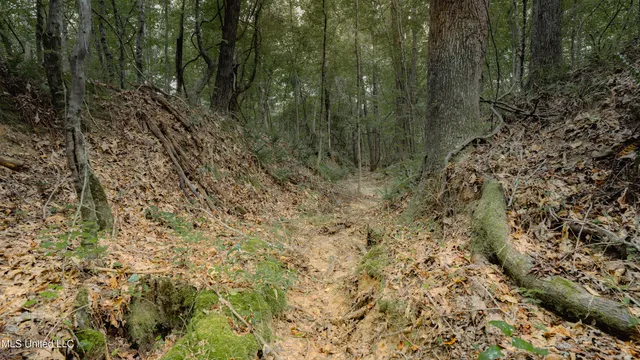 $80,000 | Dog Pen Road, Durant, MS 39063