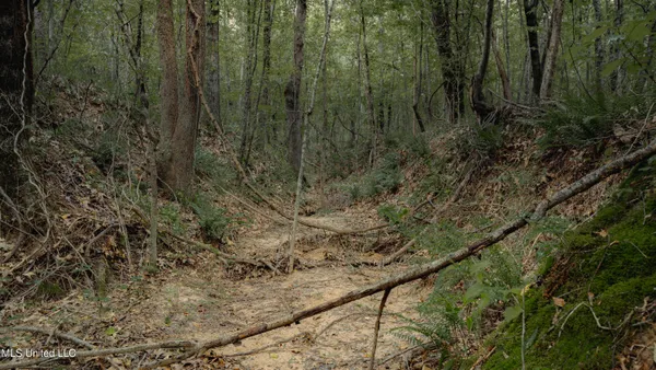 $70,000 | Dog Pen Road, Durant, MS 39063