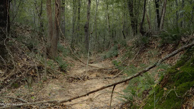 $80,000 | Dog Pen Road, Durant, MS 39063