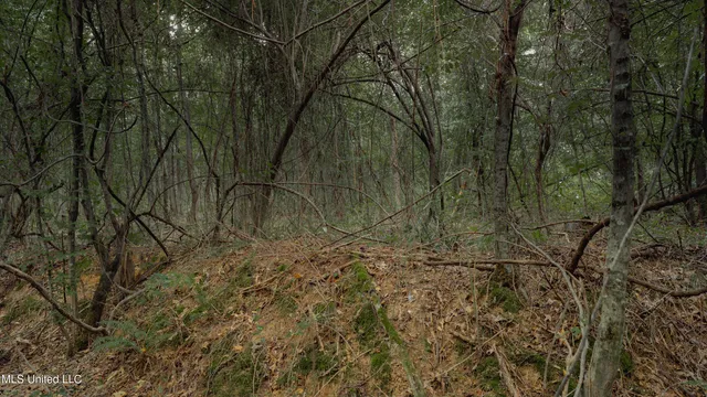 $80,000 | Dog Pen Road, Durant, MS 39063