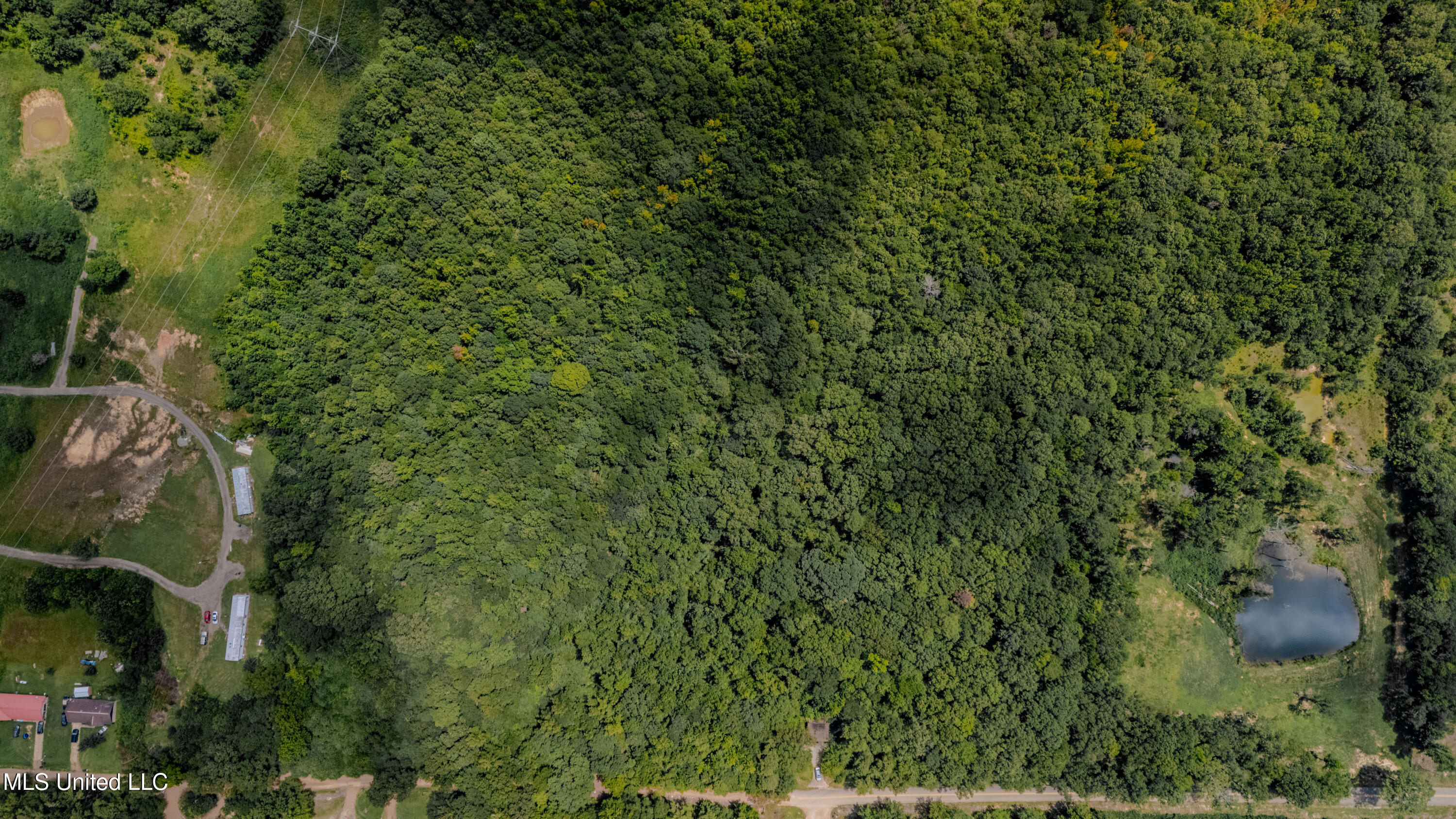 Dog Pen Road Durant, MS 39063 - Photo 5 of 50 70% Compressed-15