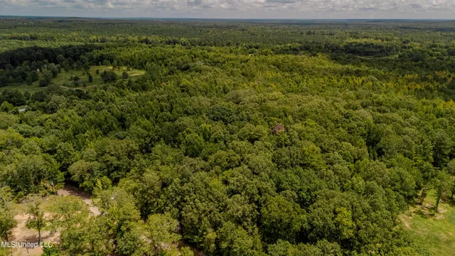 $80,000 | Dog Pen Road, Durant, MS 39063