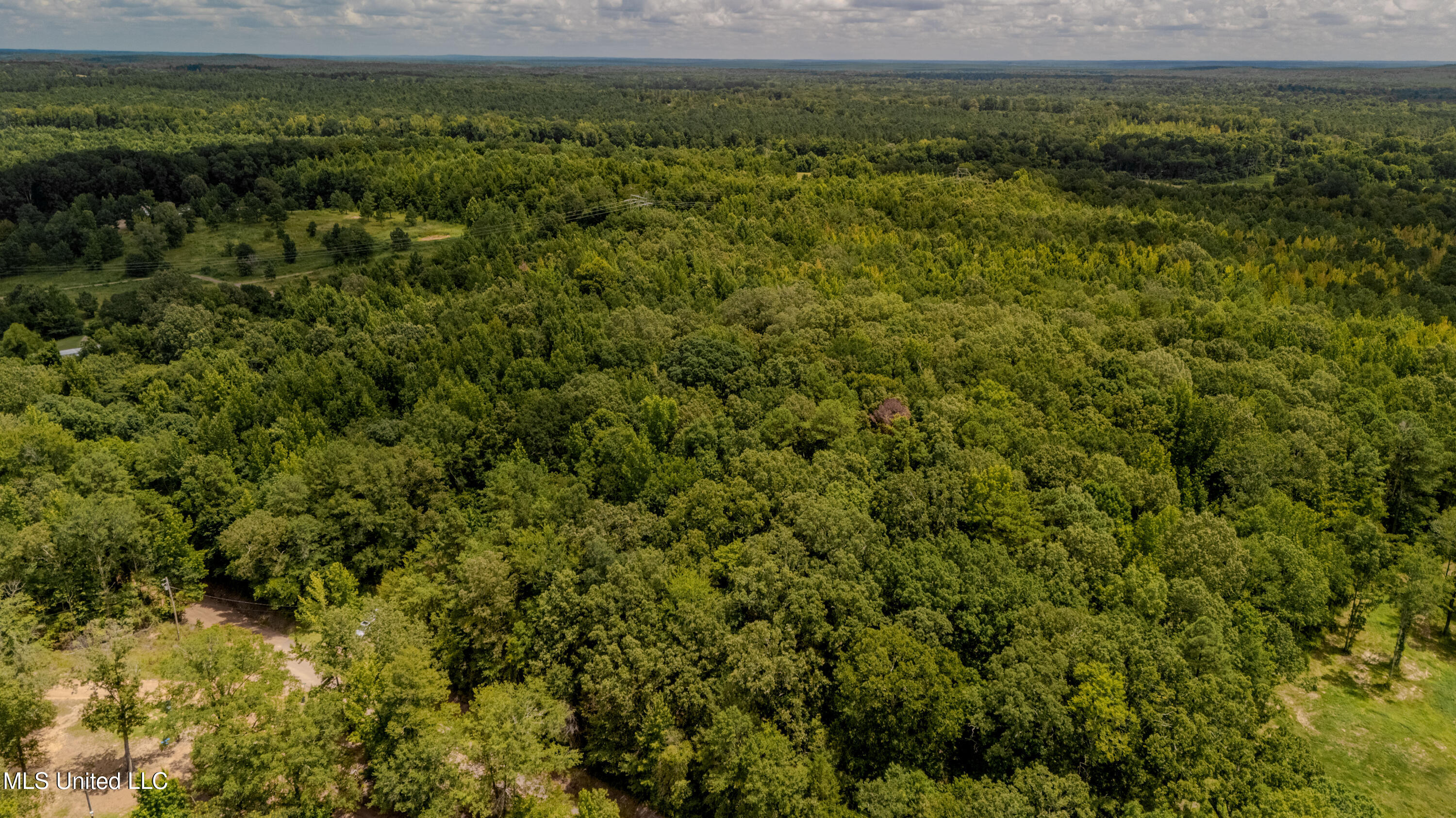 Dog Pen Road Durant, MS 39063 - Photo 6 of 50 70% Compressed-14