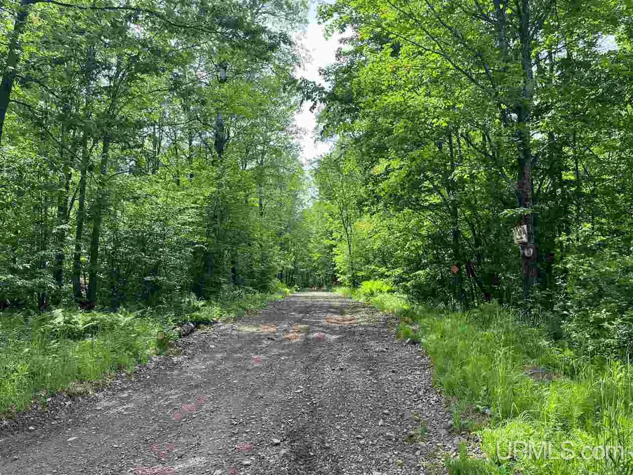 Tbd Range View Ironwood, WI 49938 - Photo 1 of 12